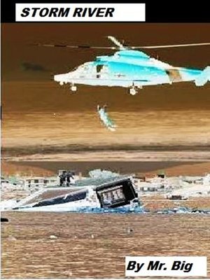 cover image of Storm River